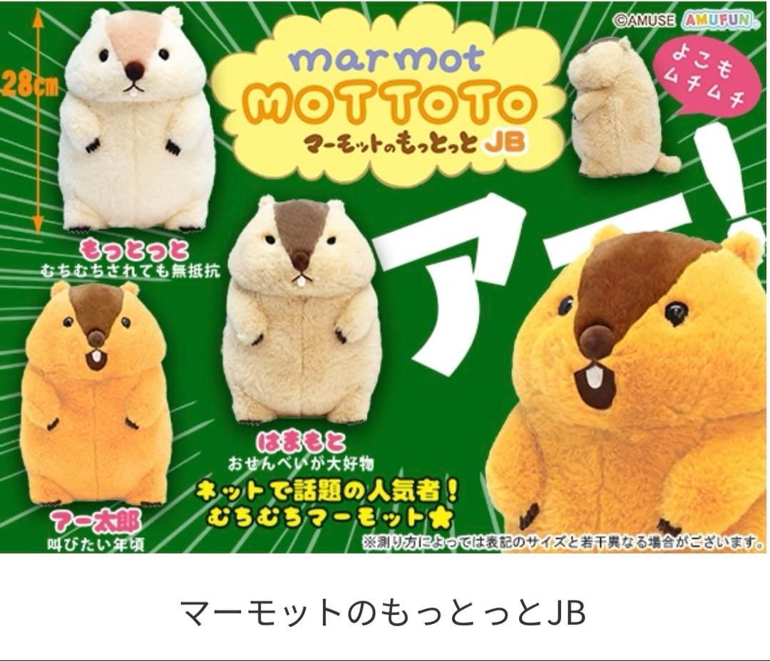 マーモットのもっとっと JB アー太郎 はまもと もっとっと ぬいぐるみ