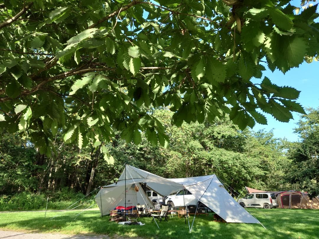 スノーピーク ランドステーションL アイボリー