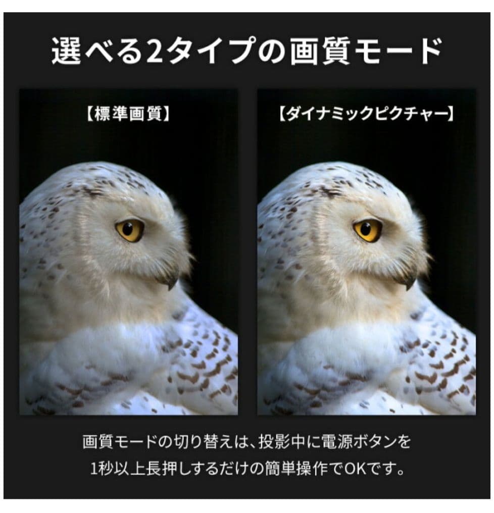 【未使用、新品】ネクストレージ ベッドルームプロジェクター NX1