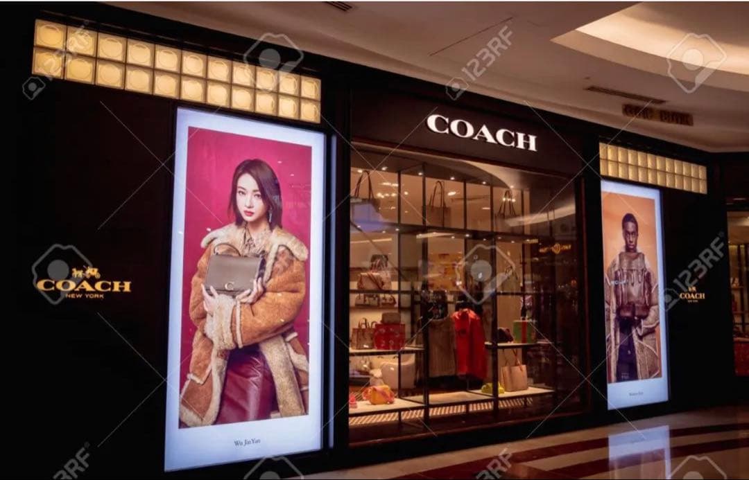 コーチ 長財布 COACH レザー シグネチャー ストロベリー 苺 プリント