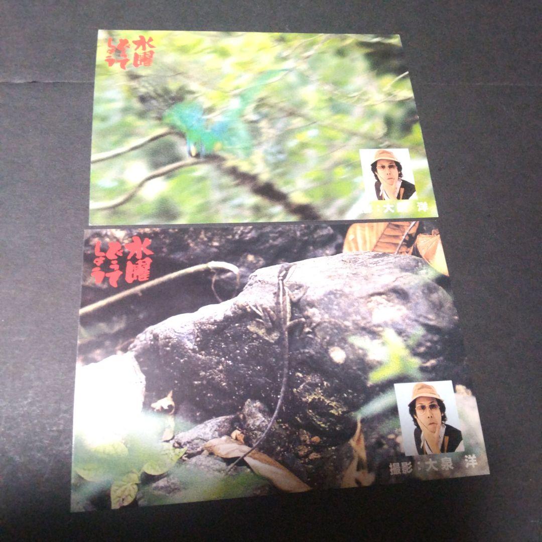 大泉洋 水曜どうでしょう コスタリカポストカード - メルカリ