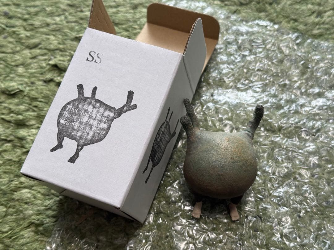 OZWRT TheCaudexMan pachypodiuman サイズSS - メルカリ