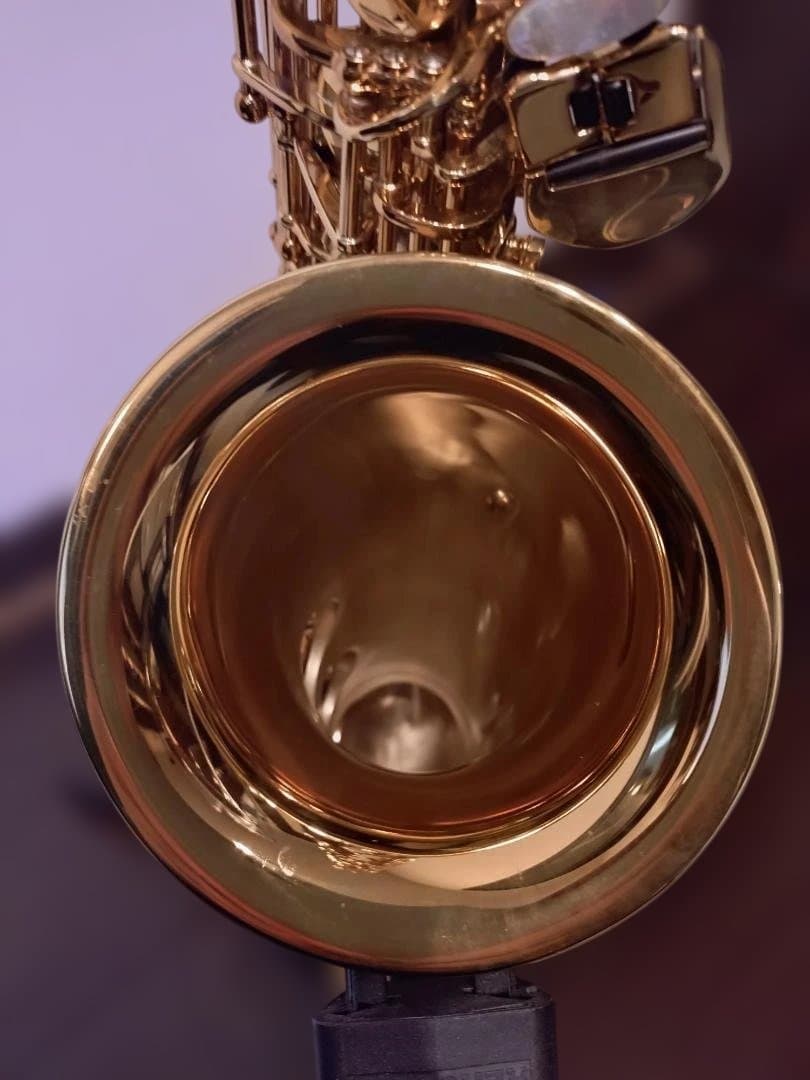 セルマー(Selmer)シュプレームアルトDARK GL(伊東たけし)選定品