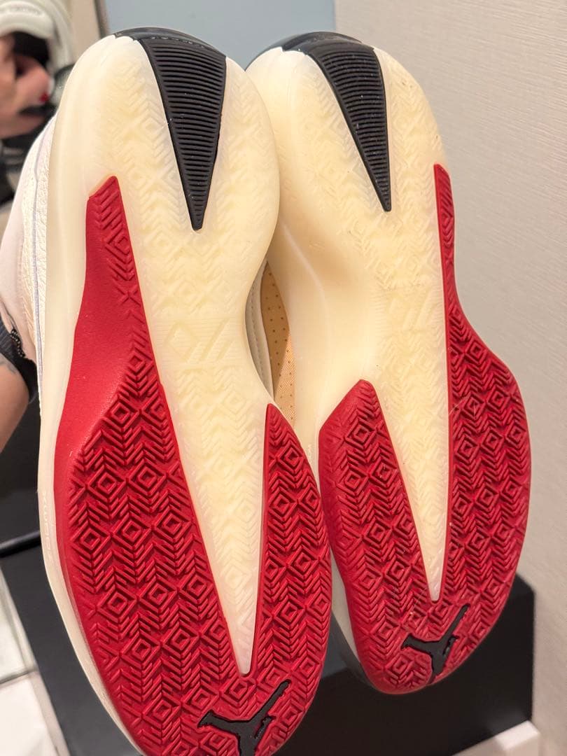 エアジョーダン40 シカゴ　26.5cm