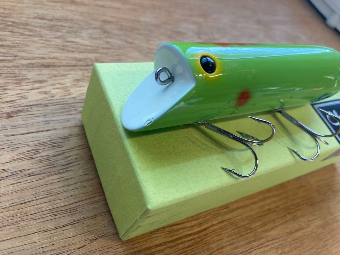 chest114 キングジムダンディー　'20