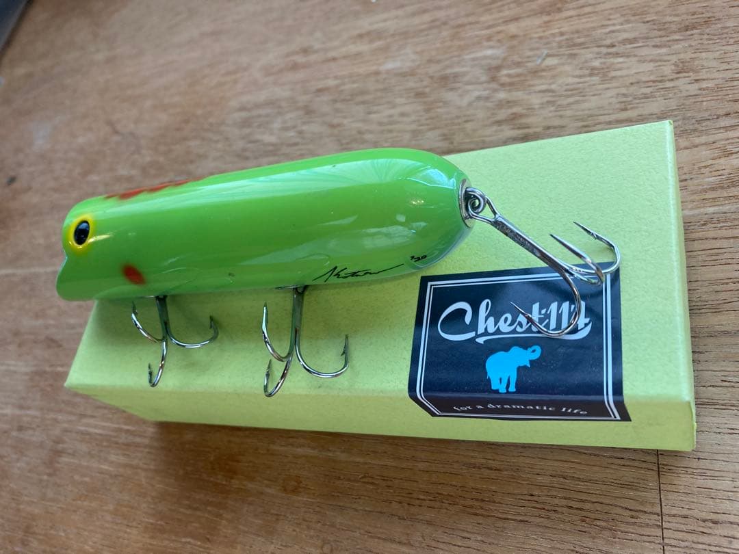 chest114 キングジムダンディー　'20