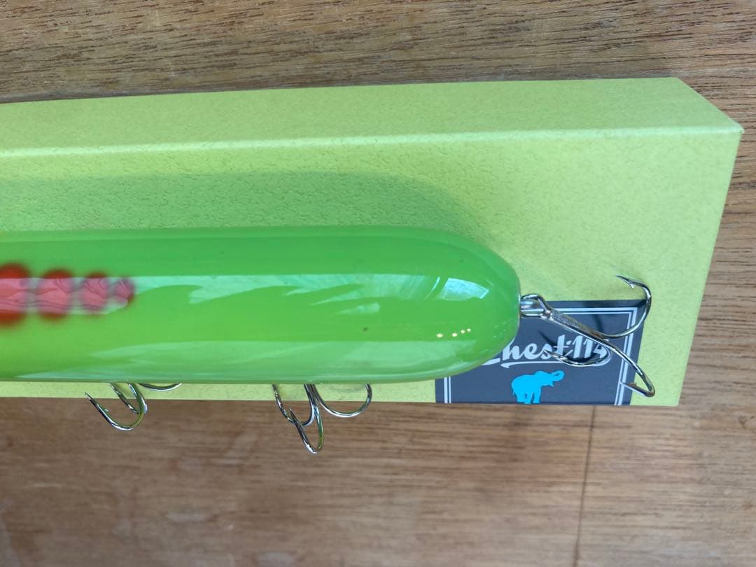 chest114 キングジムダンディー　'20