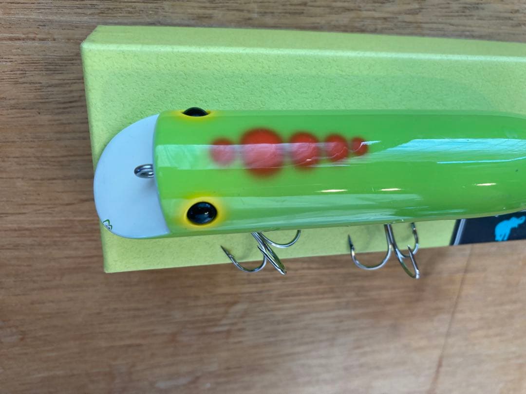 chest114 キングジムダンディー　'20