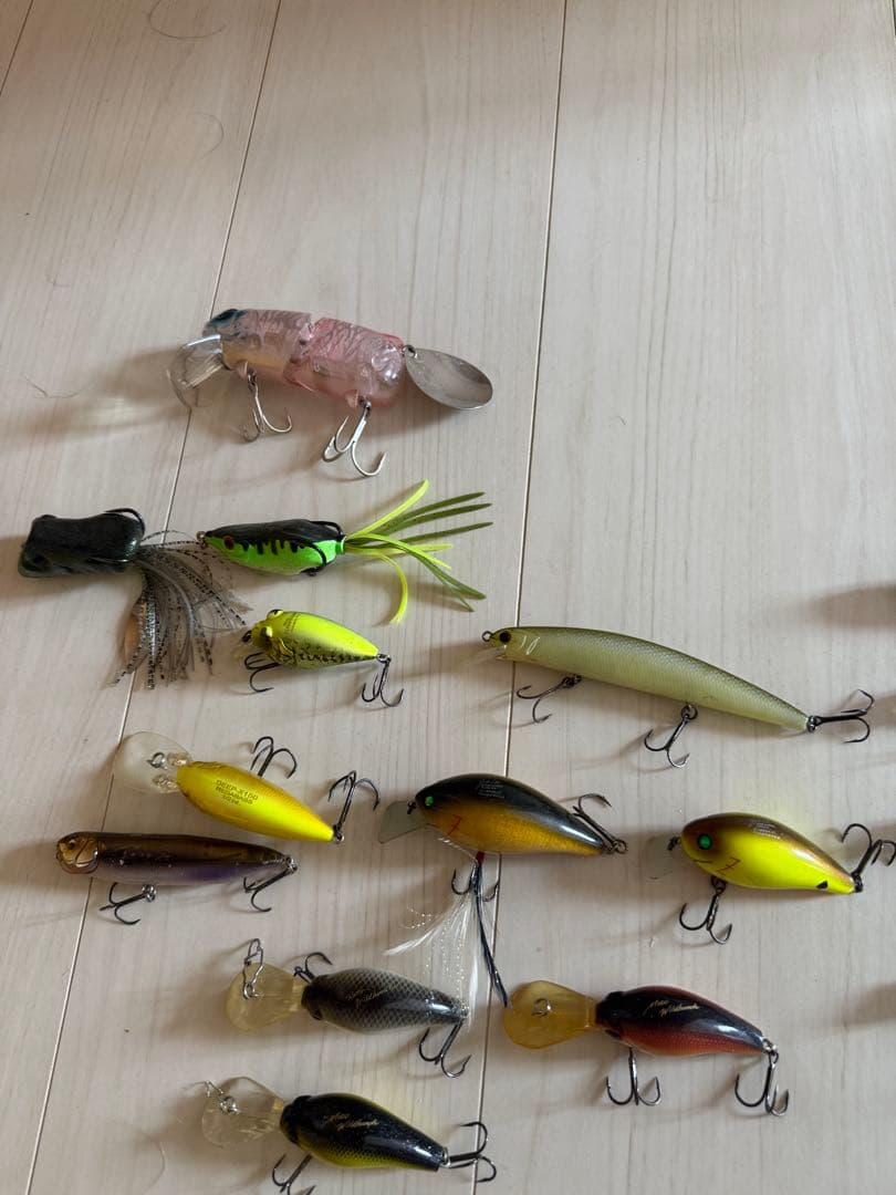 RAID deps 他多数ルアーセット