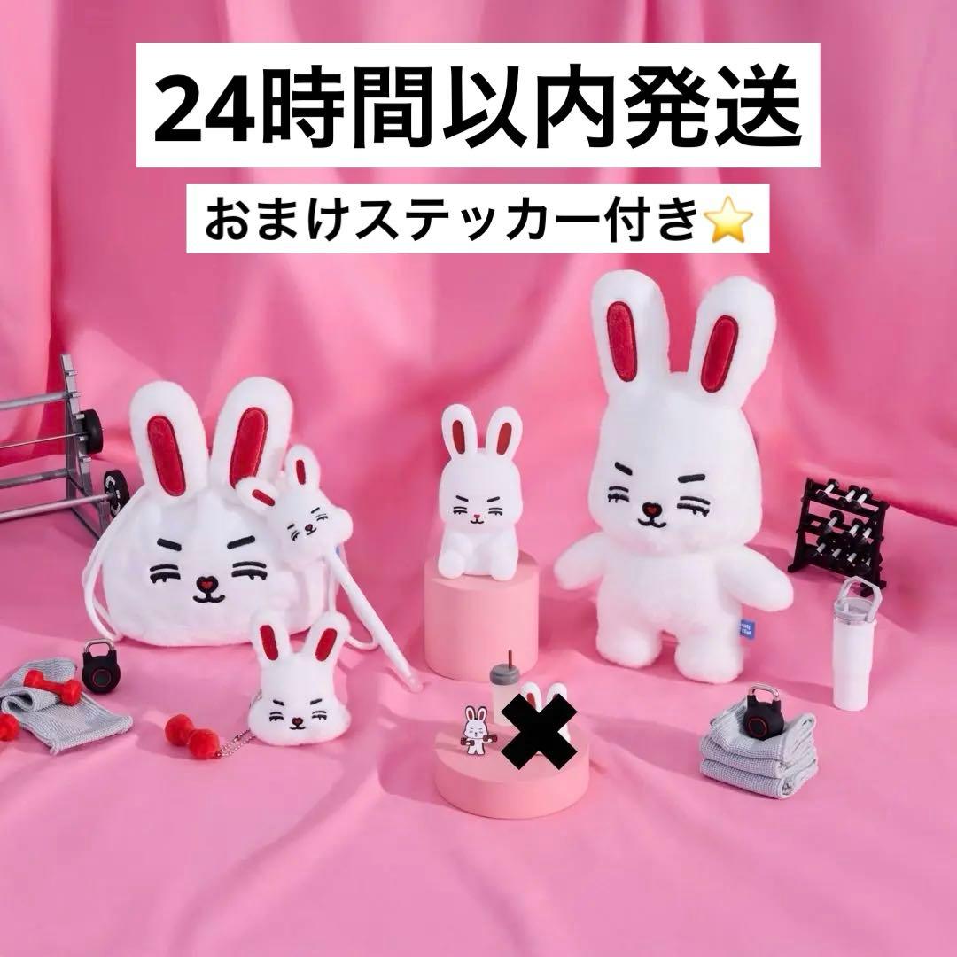 SEVENTEEN miniteen エスクプス キーリング チェチェリー セブチ