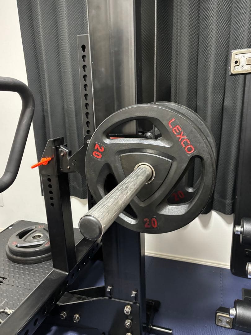 ROGUE FITNESS モンスターライノ　ベルトスクワット　プレートセット