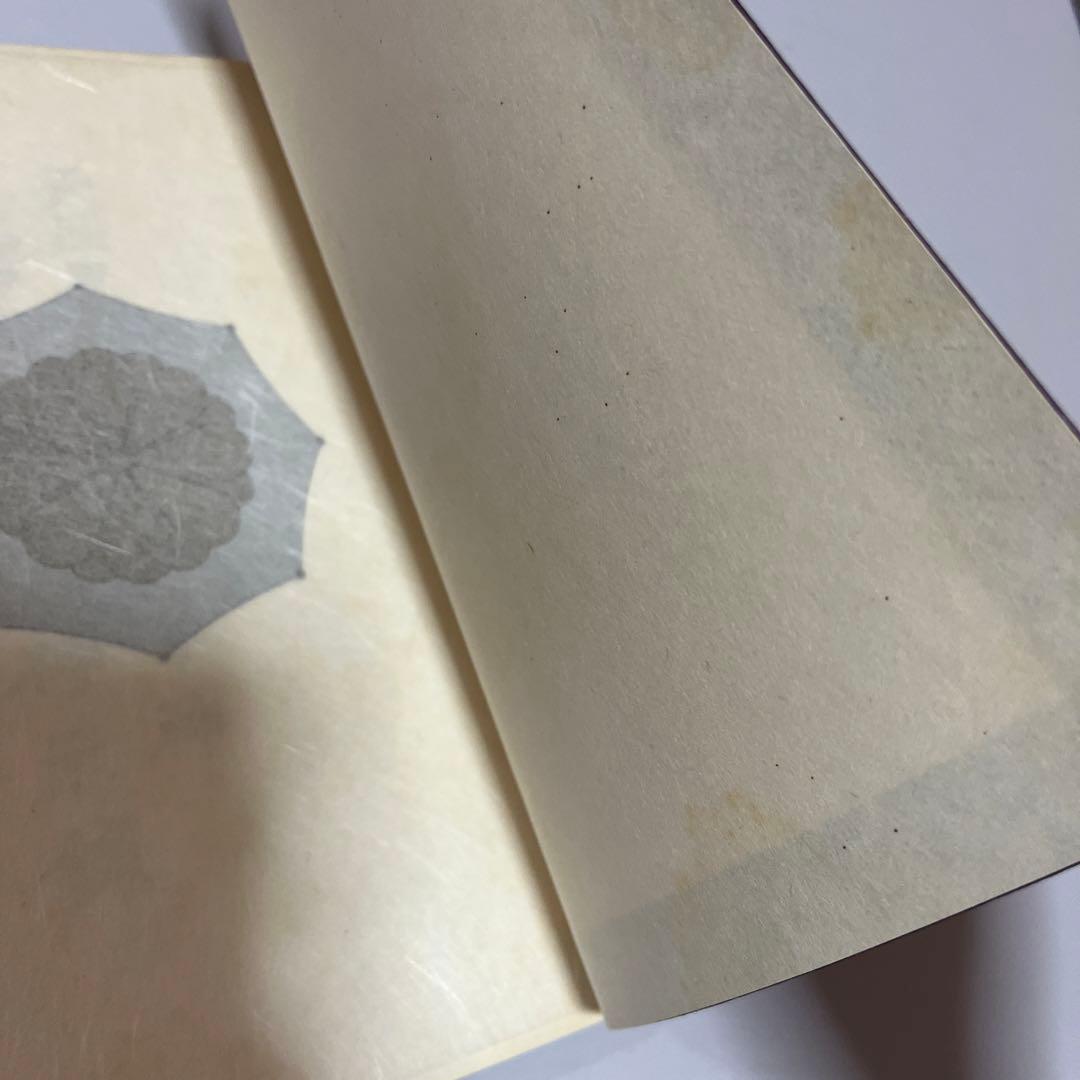 天照皇大御神司命神 岩長姫命神示録