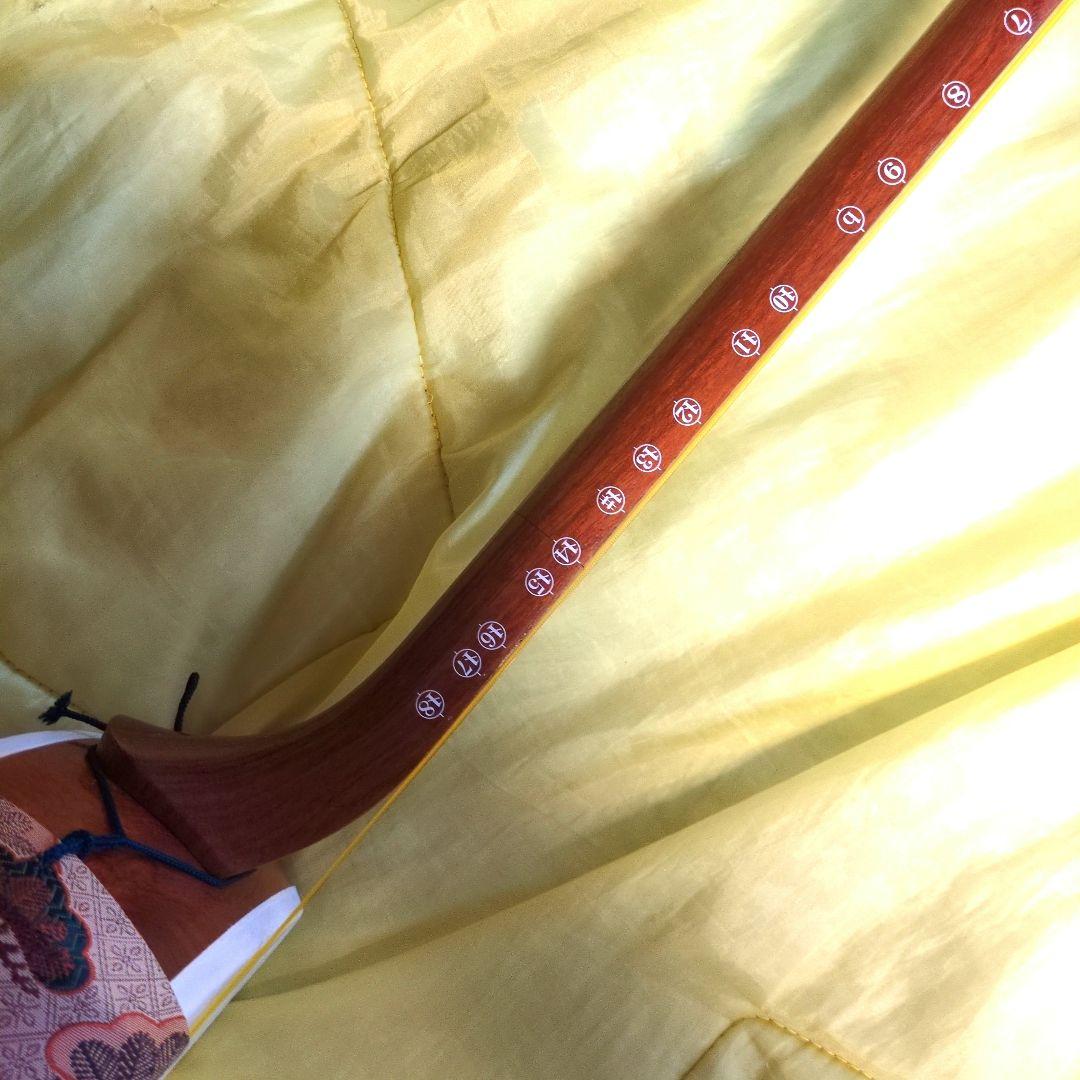 三味線　ハードケース付き　和楽器　破れ無　骨董　民謡　地唄