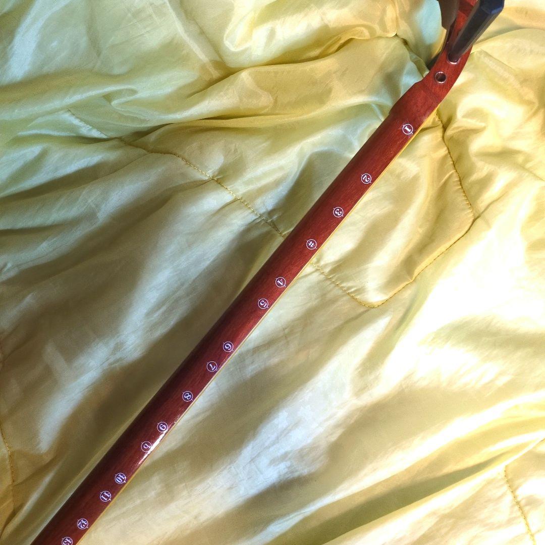 三味線　ハードケース付き　和楽器　破れ無　骨董　民謡　地唄