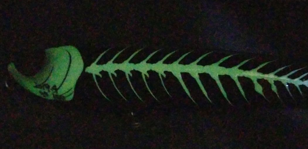 フィッシャーマン　ダイペン160