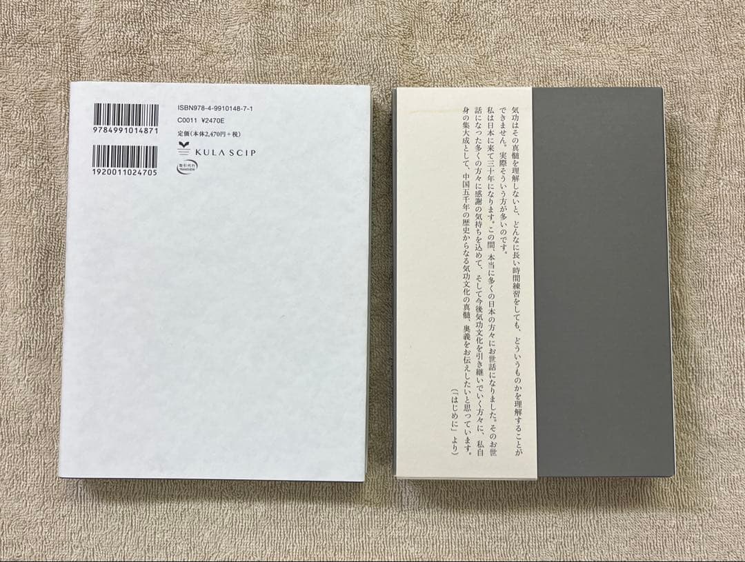 【DVD付き・美品】気功革命 秘伝奥義集大成 ／ 気功奥義解説書　盛鶴延