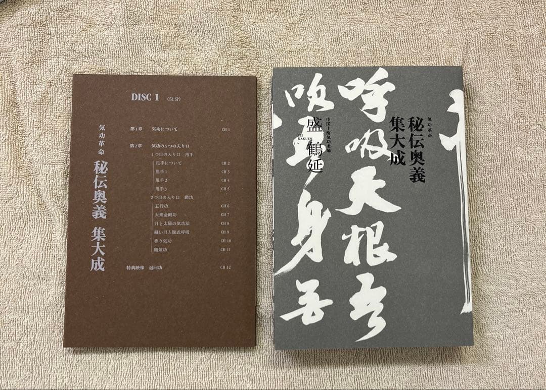 【DVD付き・美品】気功革命 秘伝奥義集大成 ／ 気功奥義解説書　盛鶴延