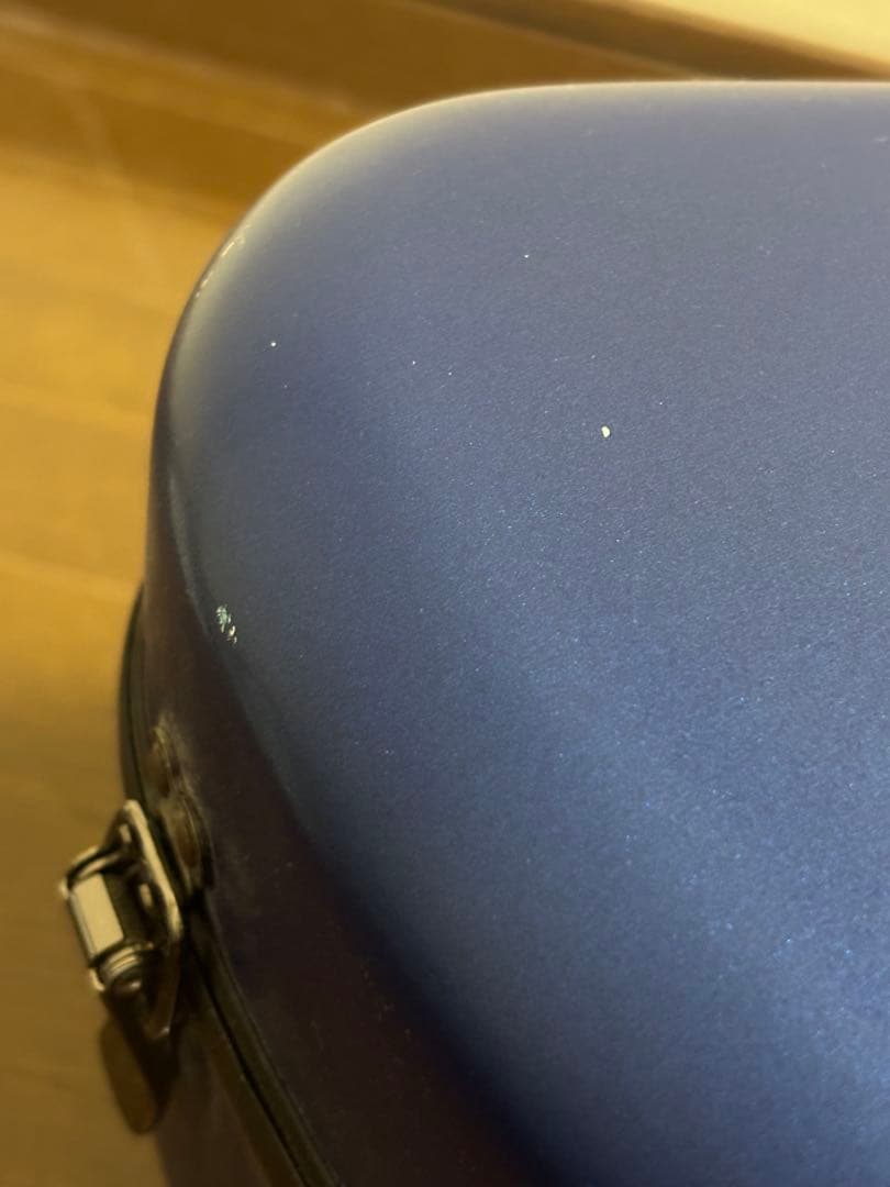 J.W.Eastman CC Shiny Case サックスケース