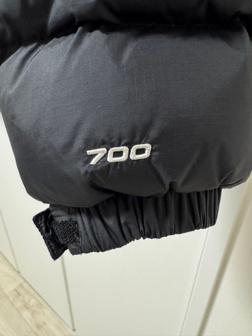 THE NORTH FACE 1996 US規格レトロヌプシ　700フィルパワー