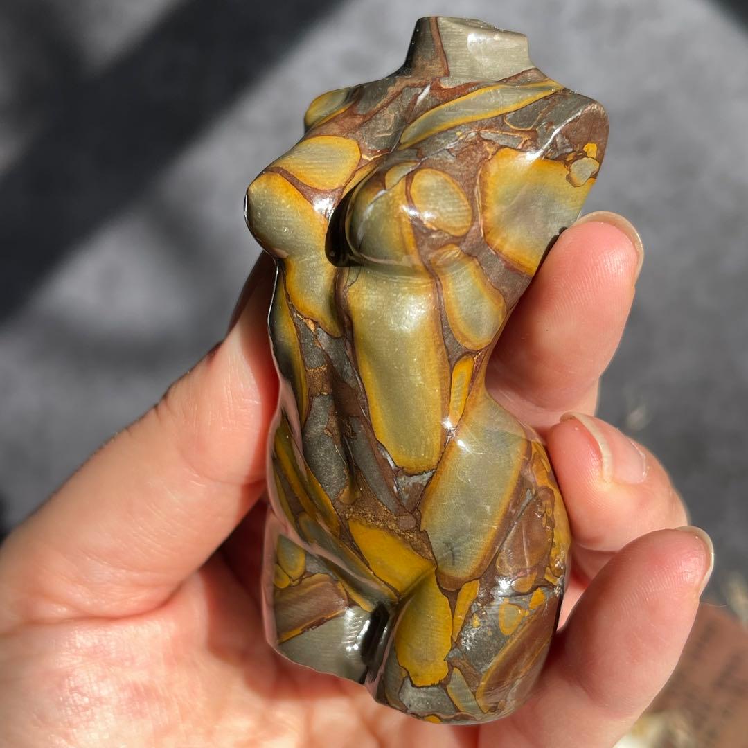 フルーツ ジャスパー レディース ボディ