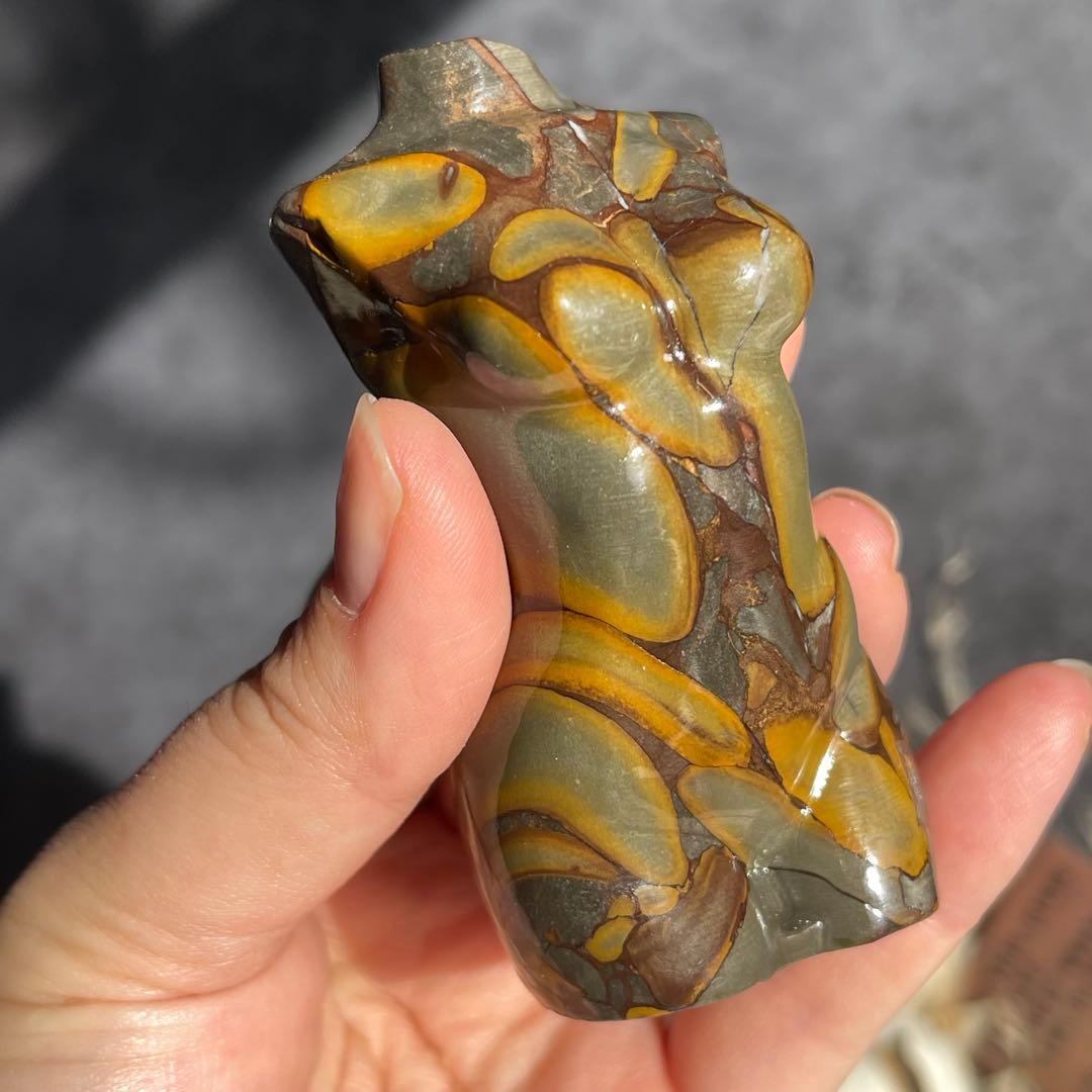 フルーツ ジャスパー レディース ボディ