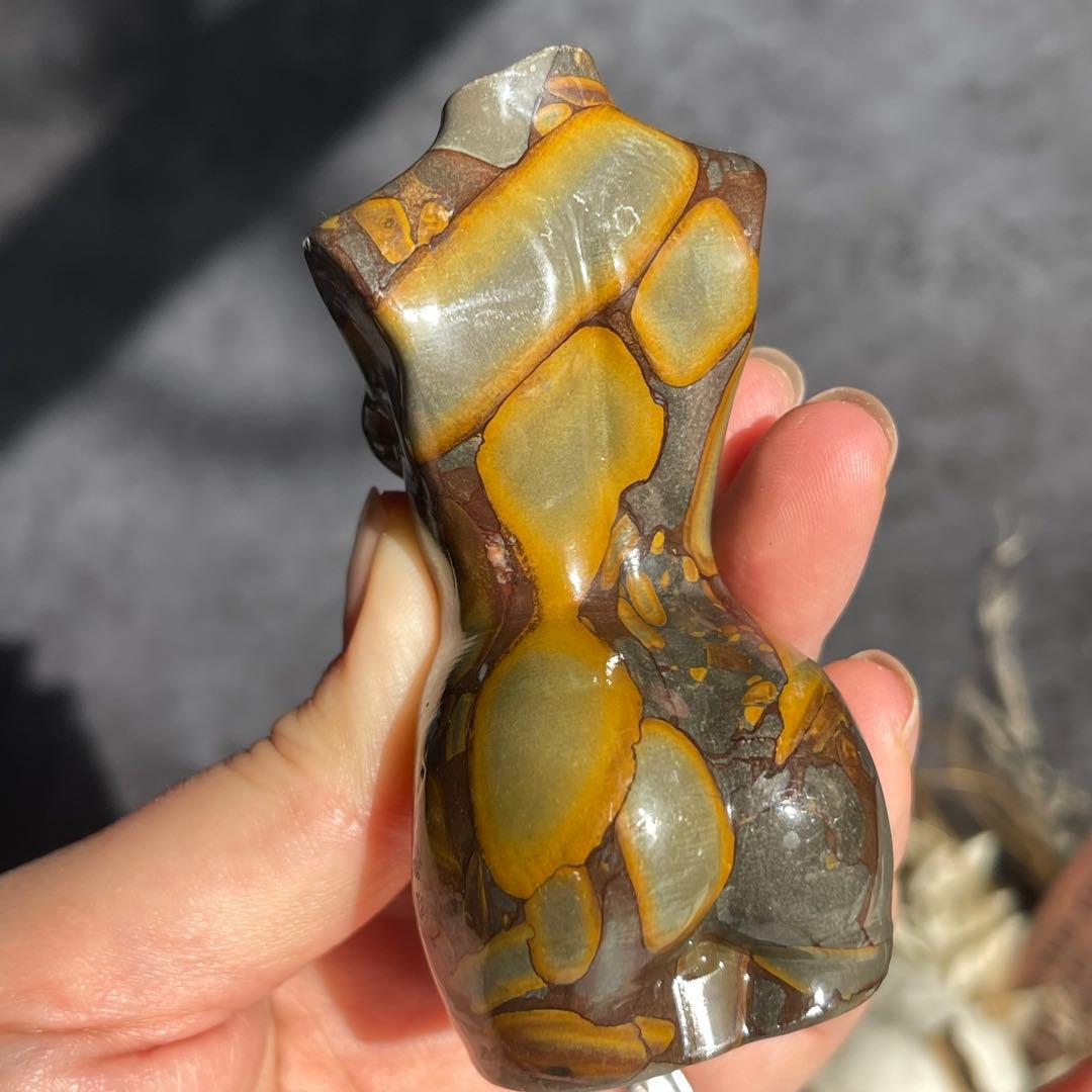 フルーツ ジャスパー レディース ボディ