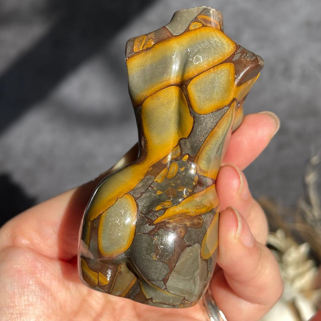 フルーツ ジャスパー レディース ボディ