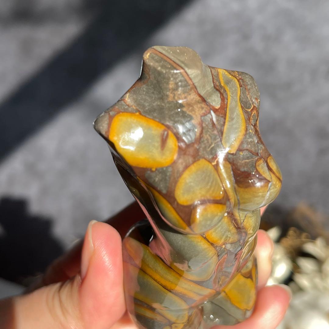 フルーツ ジャスパー レディース ボディ