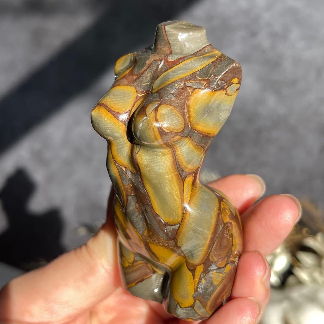 フルーツ ジャスパー レディース ボディ