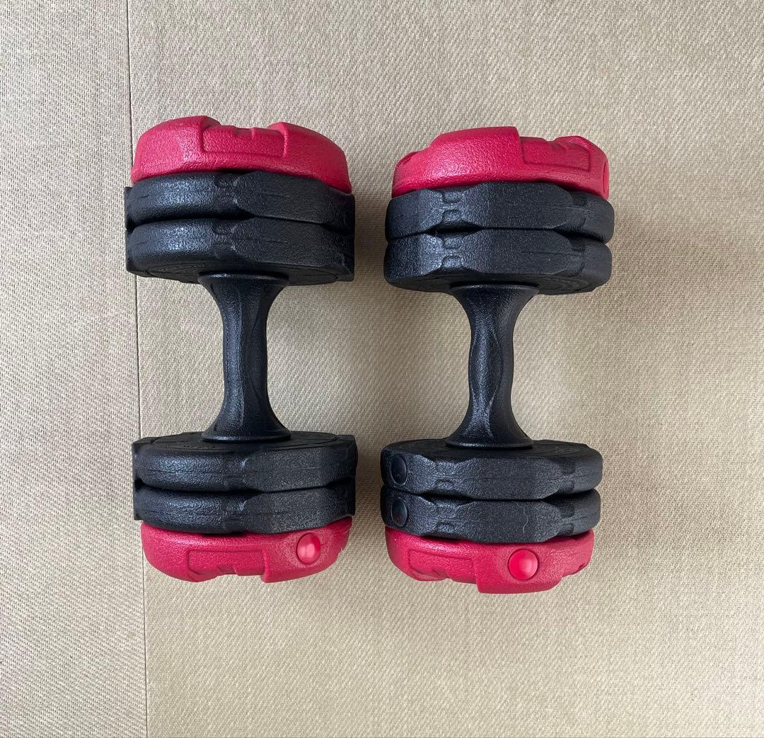 札幌市内及び近郊の方引取限定】STEADYマルチ懸垂マシンほか筋トレ器具