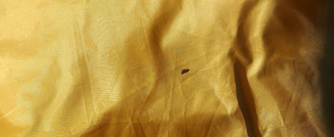 ヒルストーン　Hill Stone オールインワンテント ad201