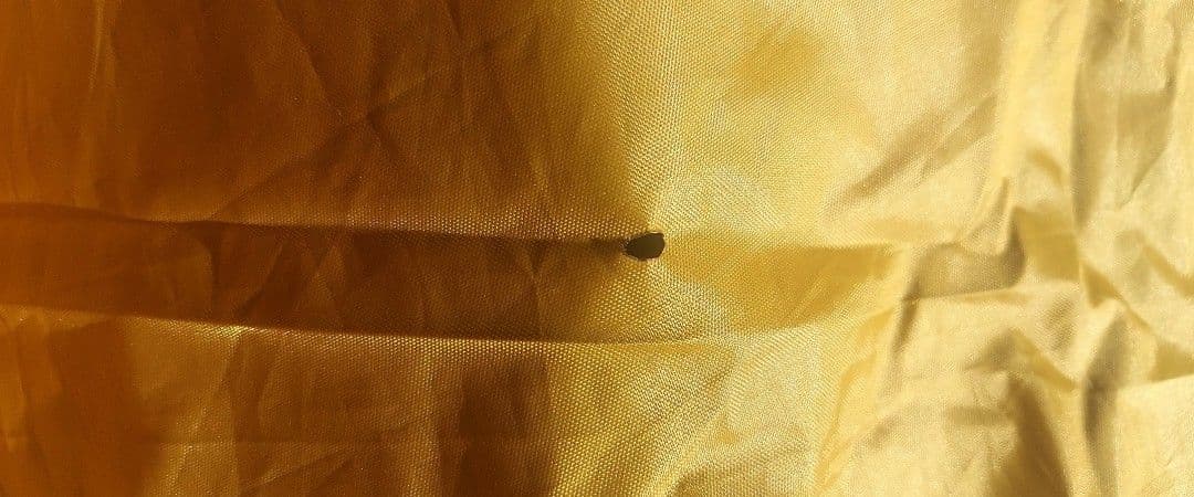 ヒルストーン　Hill Stone オールインワンテント ad201