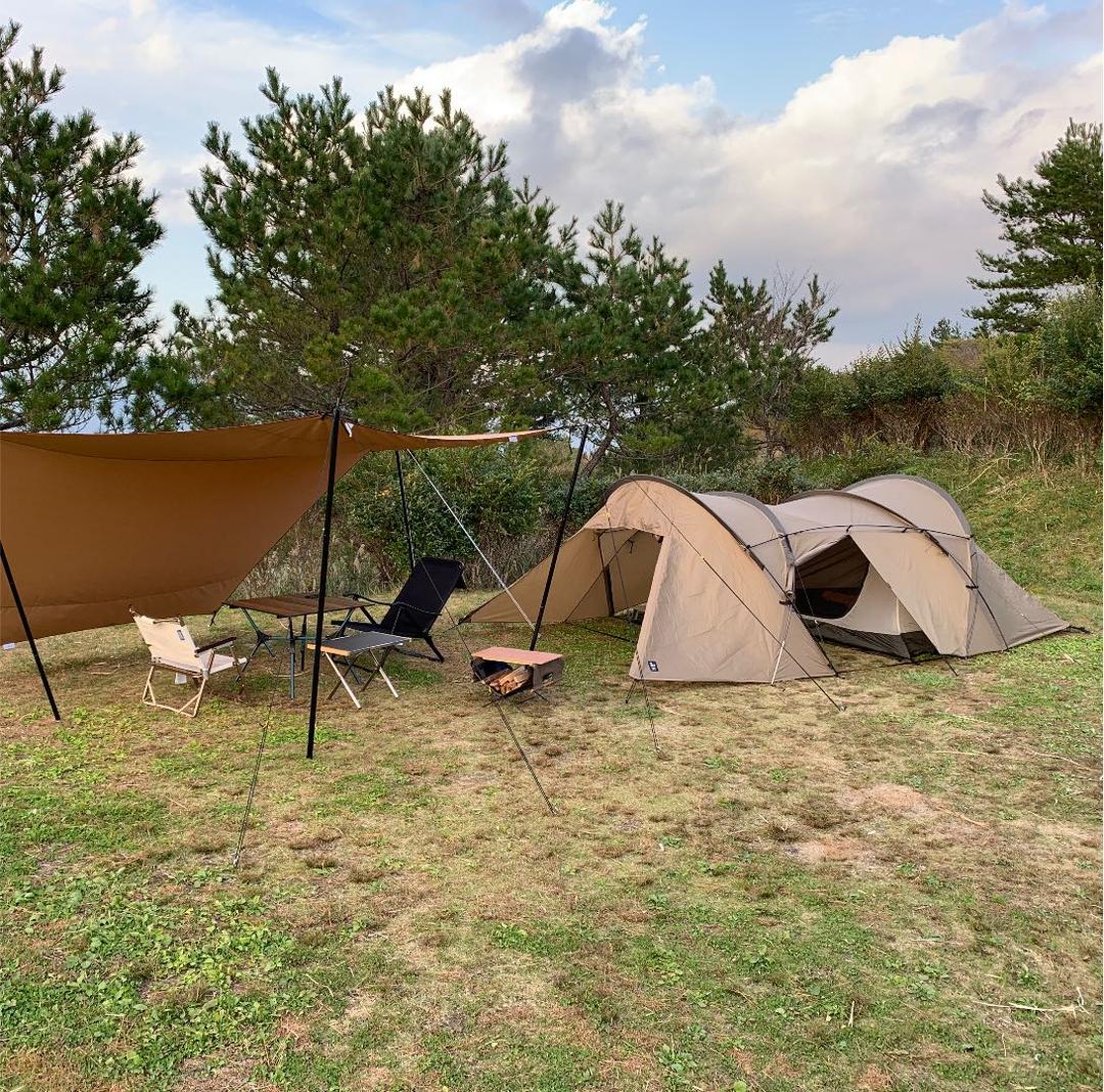 ゼインアーツ　ロガ4