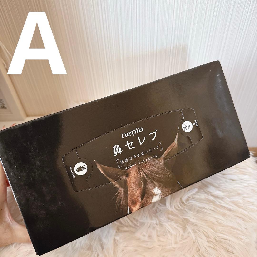 鳴沢 テイエムオペラオー写真