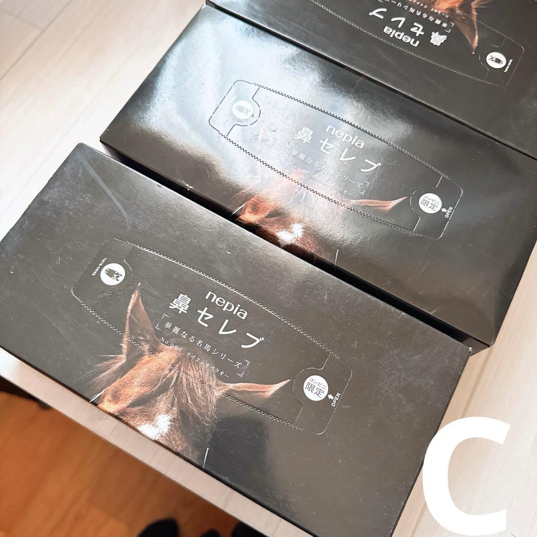 鳴沢 テイエムオペラオー写真