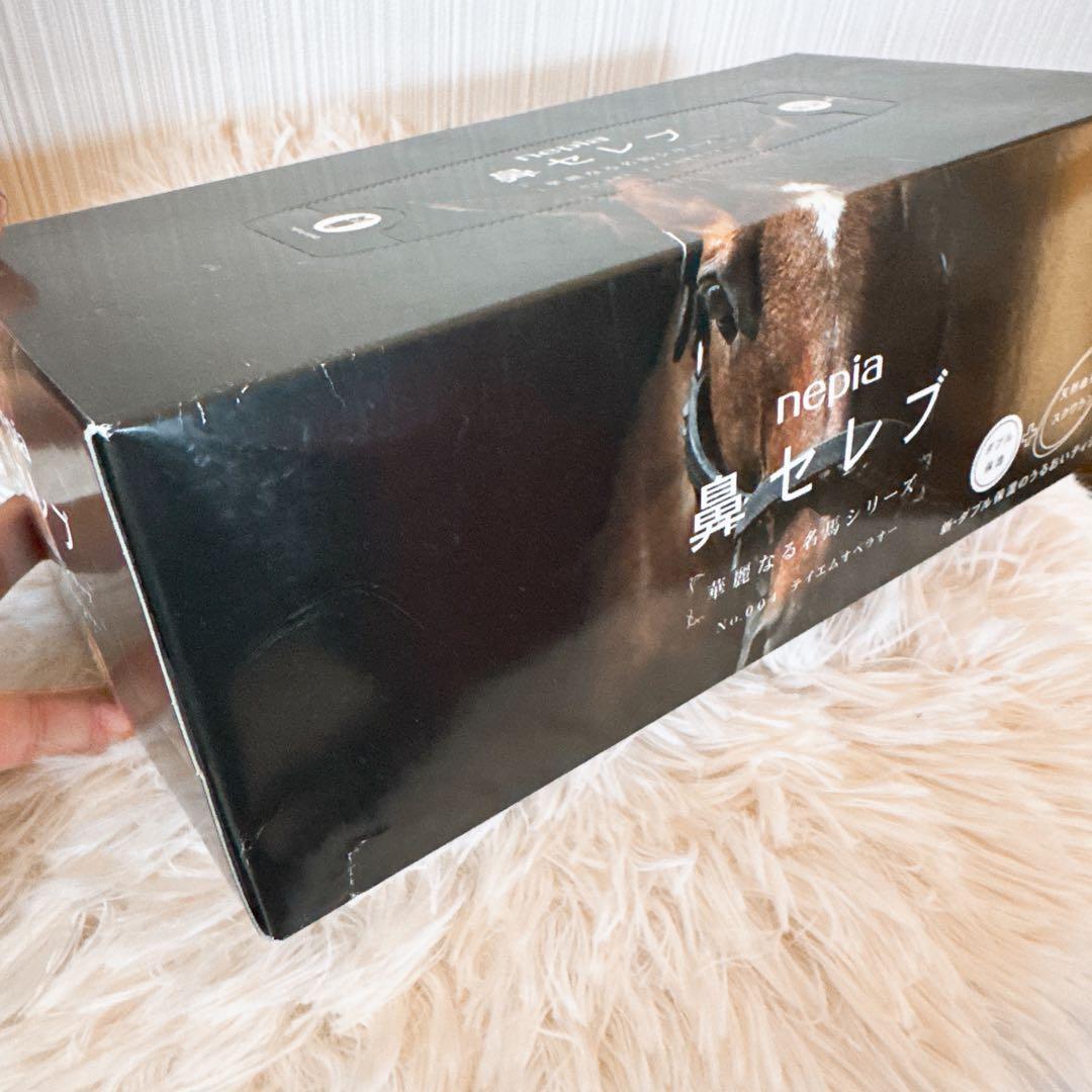 鳴沢 テイエムオペラオー写真