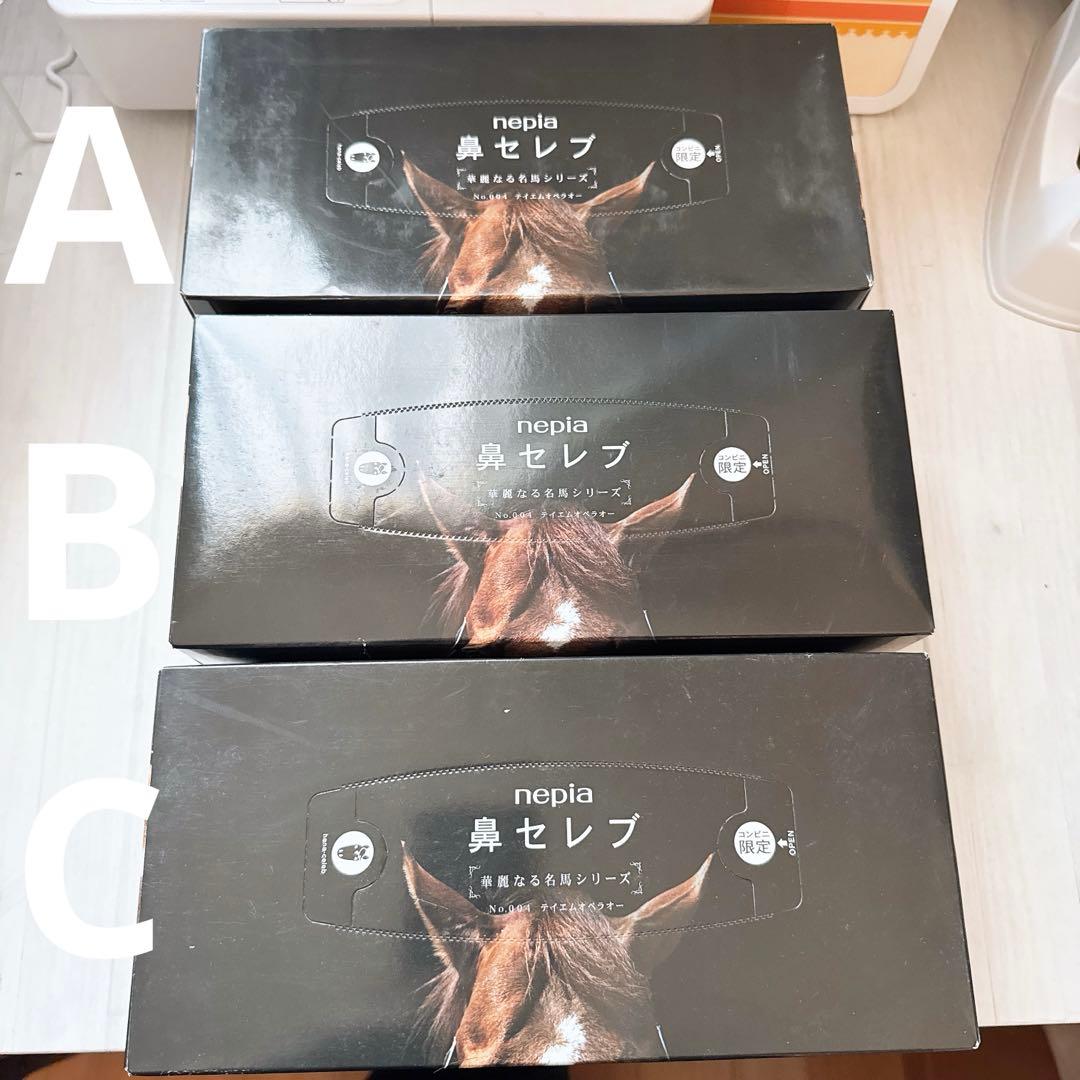 鳴沢 テイエムオペラオー写真