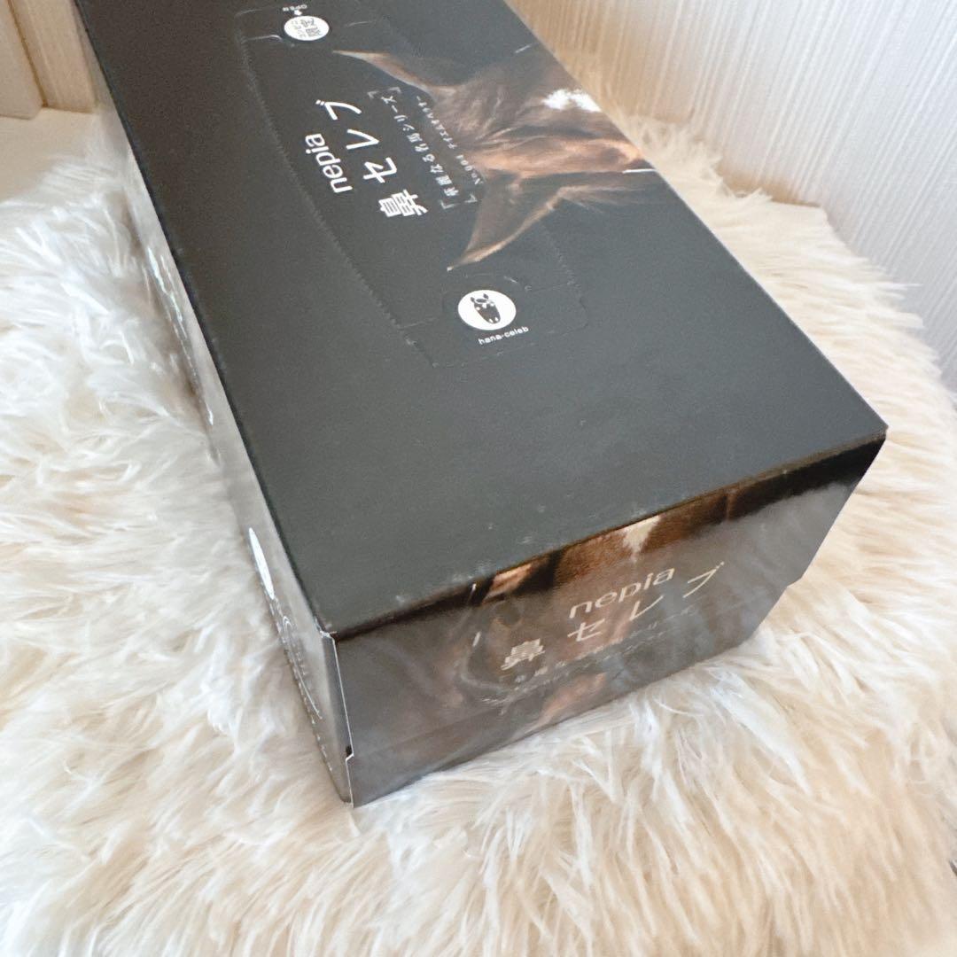 鳴沢 テイエムオペラオー写真