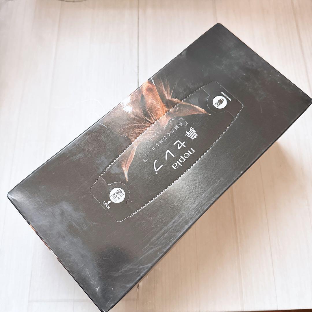 鳴沢 テイエムオペラオー写真