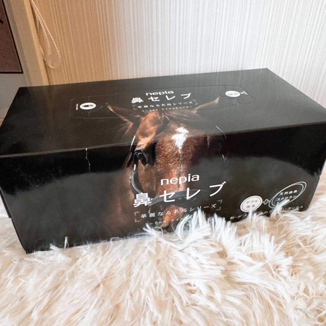 鳴沢 テイエムオペラオー写真