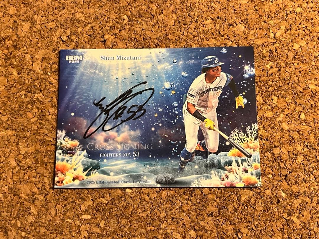 BBM 2025 1st 水谷瞬 サイン 日本ハムファイターズ 10枚限定 - メルカリ