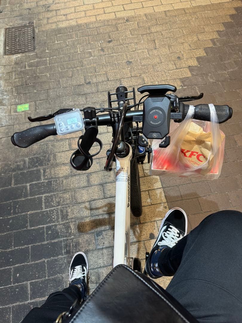 Panasonic 電動アシスト自転車 ハリヤ BE-ELH342 26インチ