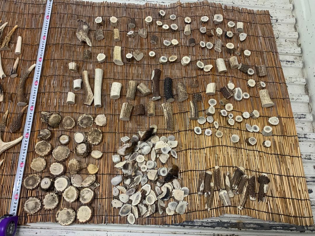 9kg 鹿の角　エゾシカ　角【大小詰合わせ】 端材　アクセサリー　パーツ素材