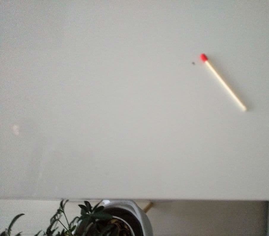 ニトリ リガーレハイタイプ