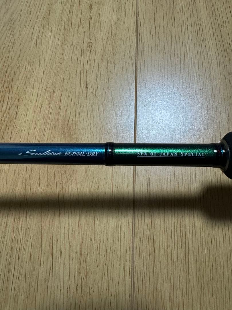 Saltist ソルティストEG89ML-DRY 竿 984