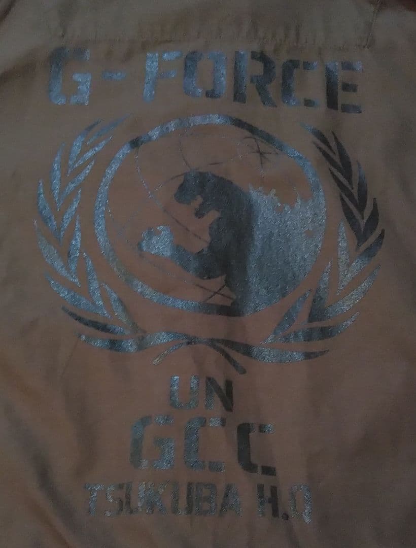 稀少【即完売】【Gフォース官給品】 M-51ジャケット