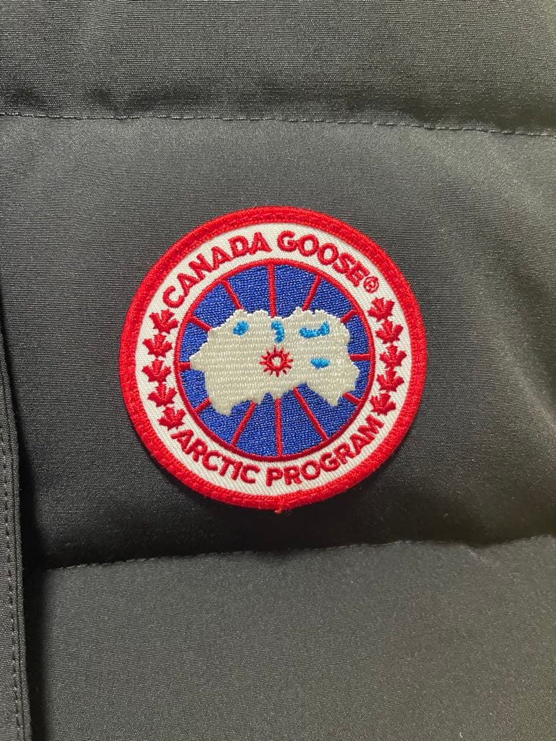 ＹＡＳＵさん専用  ARCTIC PROGRAM