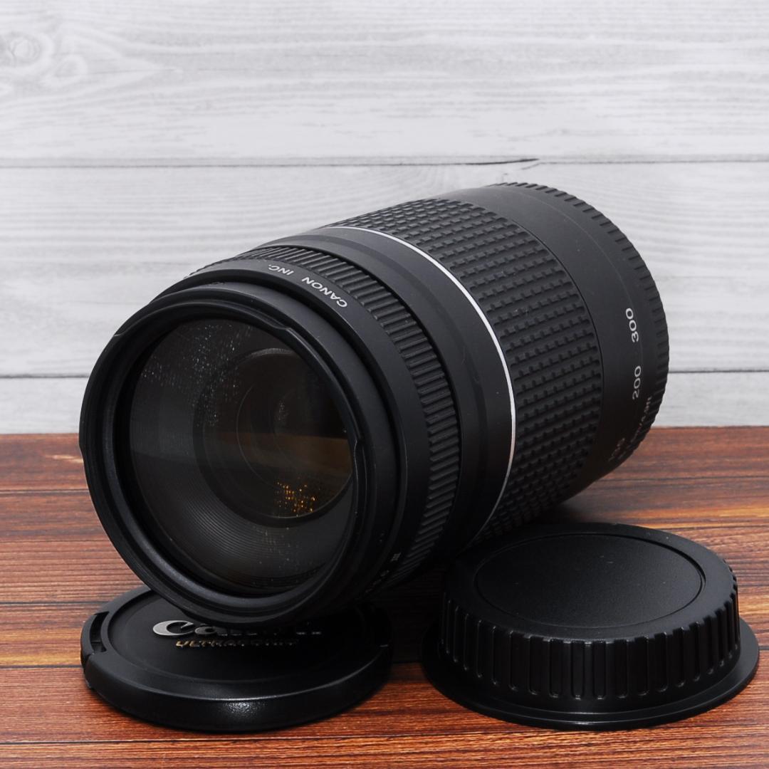望遠レンズ Canon EF 75-300mm F4-5.6 Ⅲ