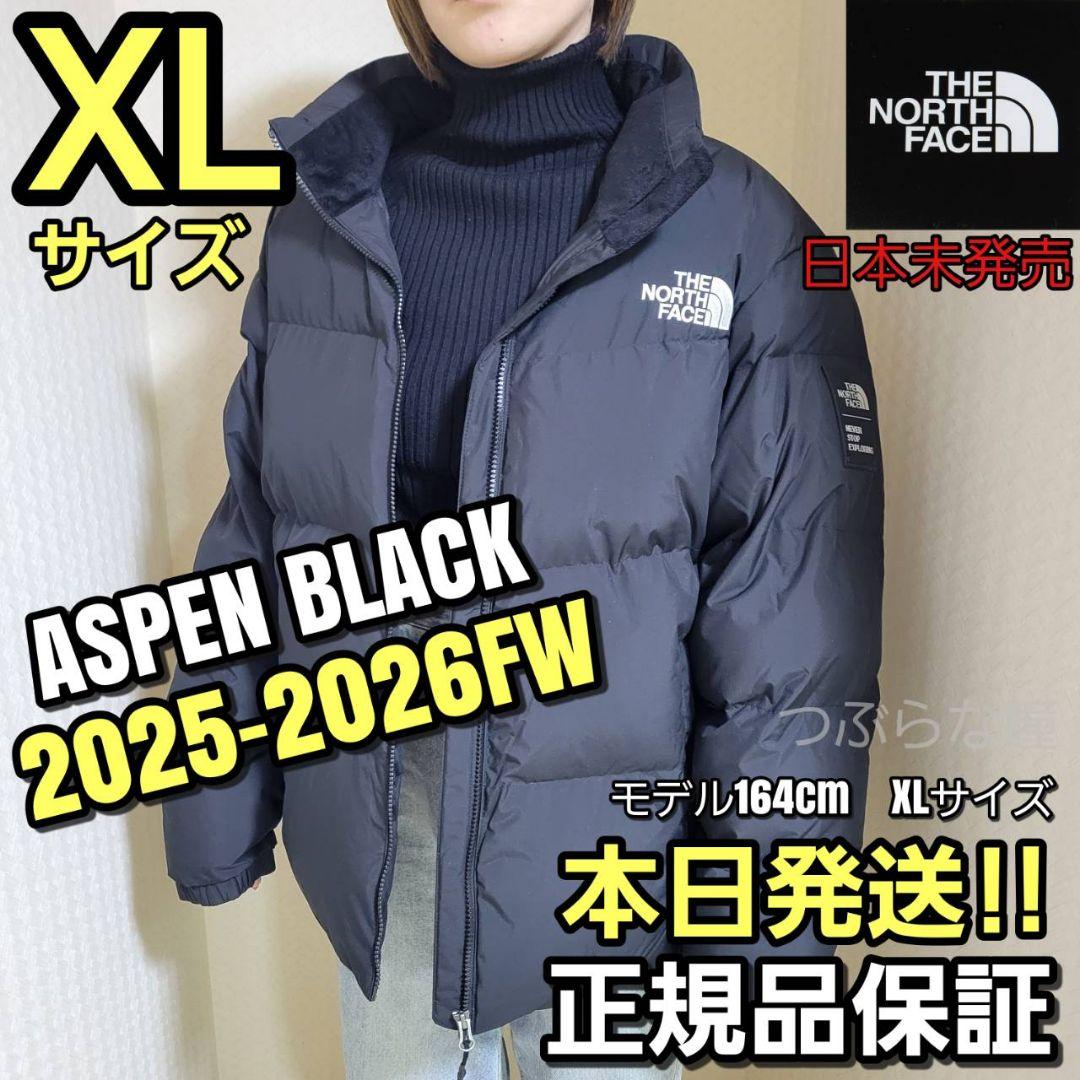 THE NORTH FACE ASPEN XLダウンジャケット 黒