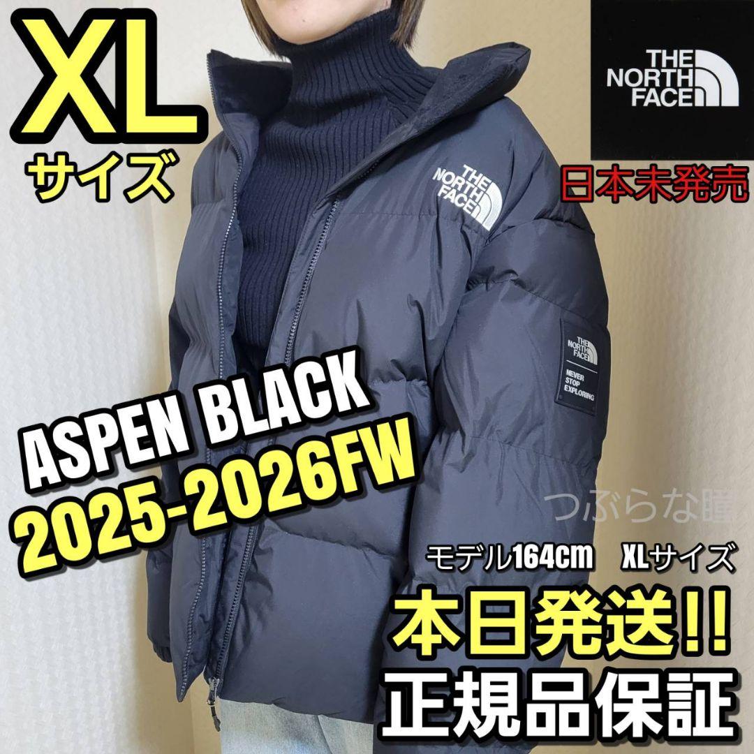 THE NORTH FACE ASPEN XLダウンジャケット 黒